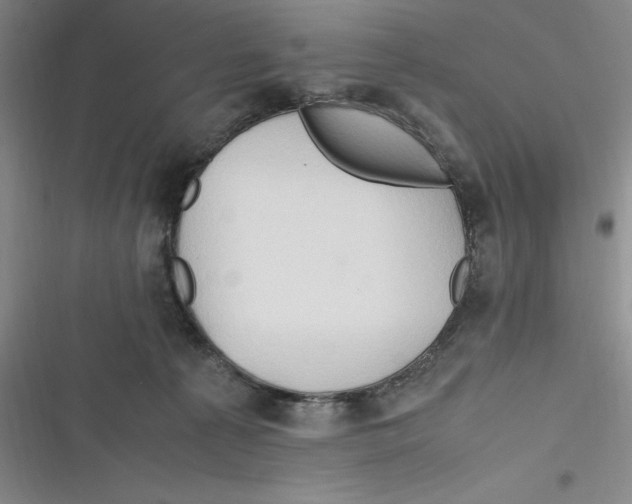 X0000116680225201001111338