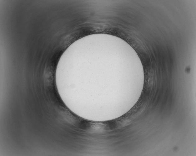 X0000116680226201001111338