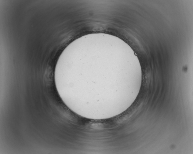 X0000116680228201001111338