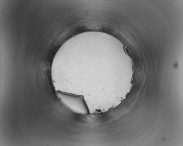 X0000116680229201001111338