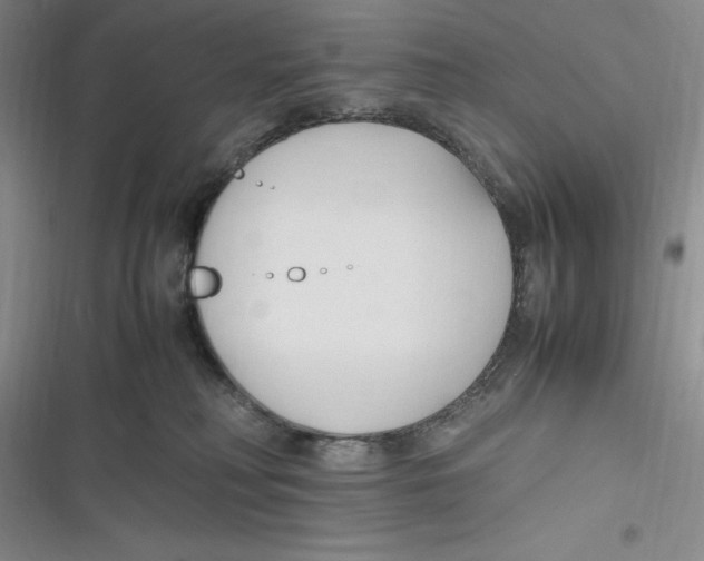 X0000116680230201001111338