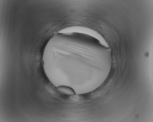 X0000116680231201001111338