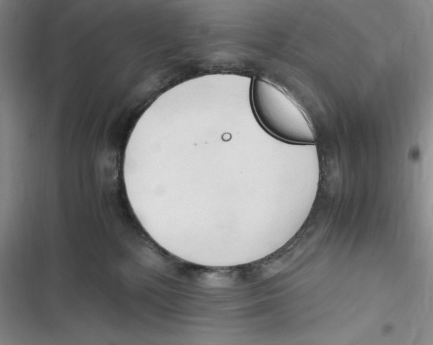 X0000116680232201001111338