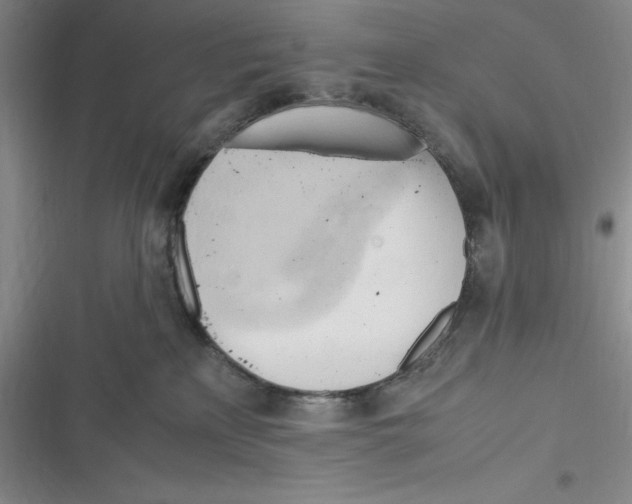 X0000116680233201001111338