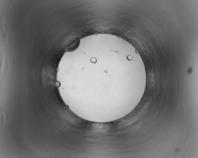 X0000116680234201001111338