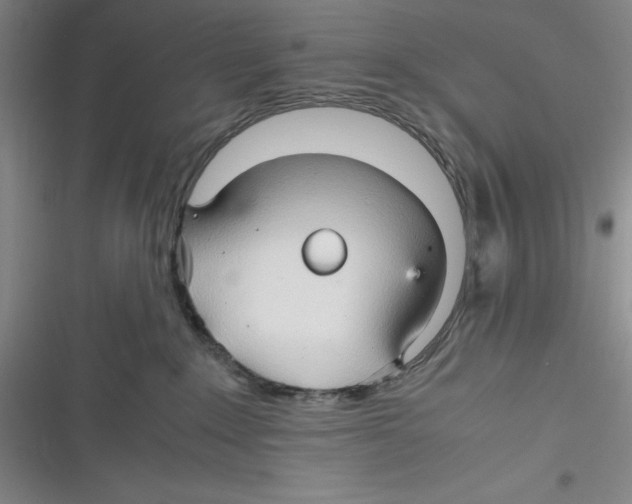 X0000116680235201001111338