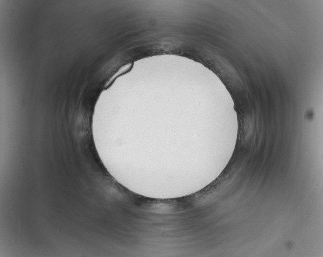 X0000116680236201001111338