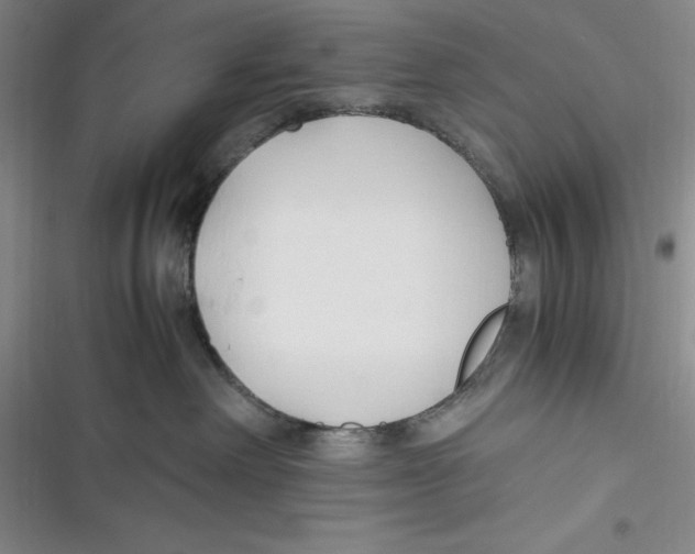 X0000116680238201001111338