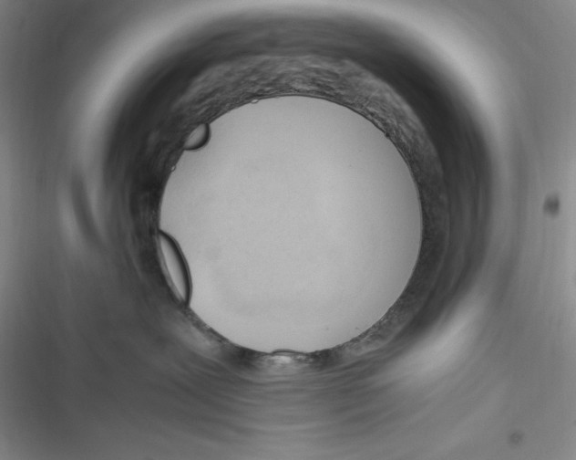 X0000116680239201001111338