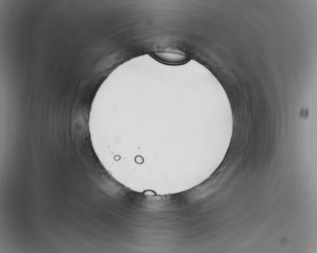 X0000116680240201001111338