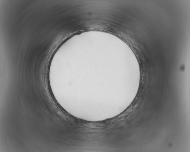 X0000116680241201001111337