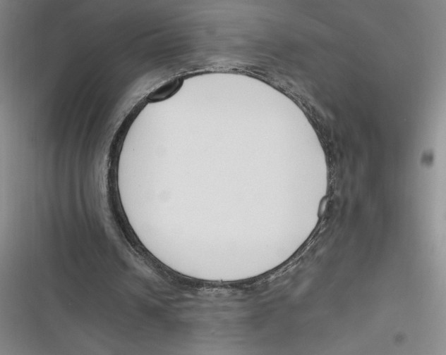 X0000116680242201001111337