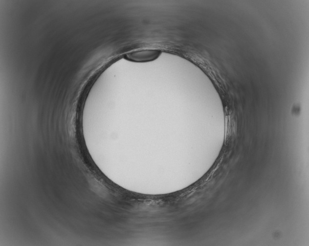 X0000116680243201001111337