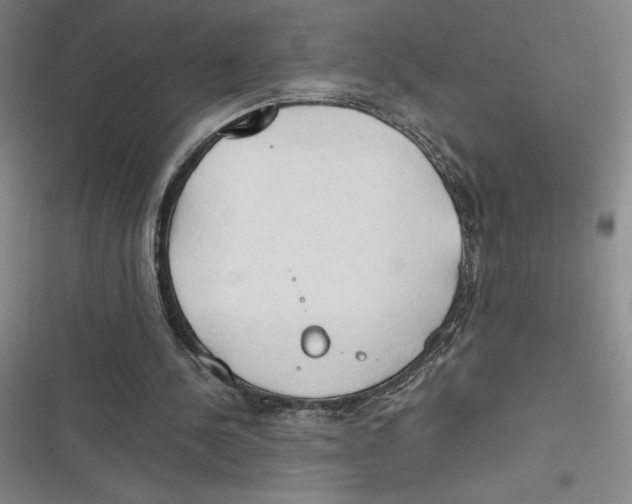 X0000116680244201001111337