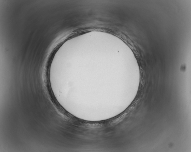 X0000116680245201001111338