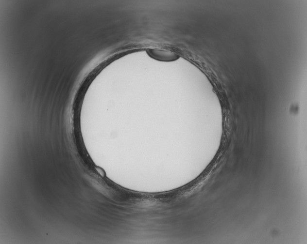 X0000116680246201001111338