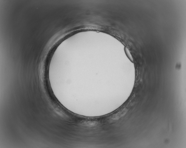 X0000116680247201001111338