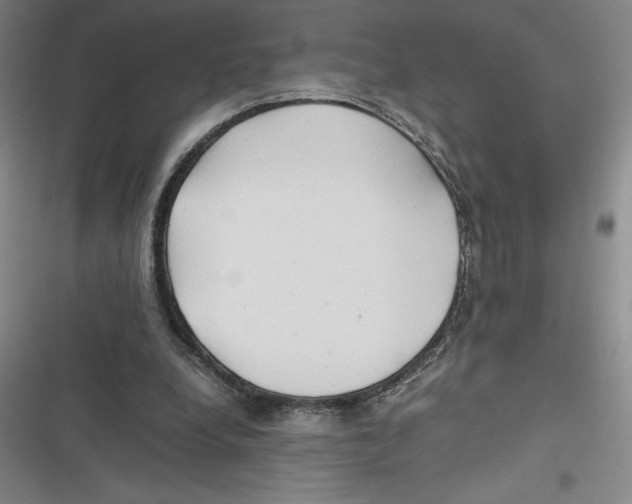 X0000116680248201001111338