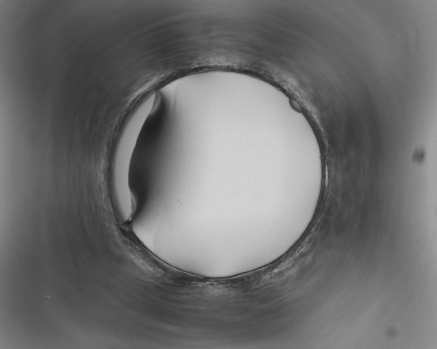 X0000116680249201001111338