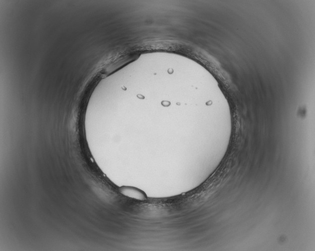 X0000116680250201001111338