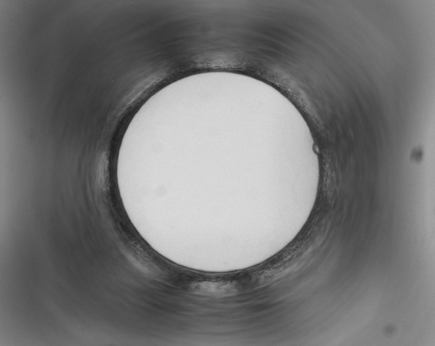 X0000116680251201001111338