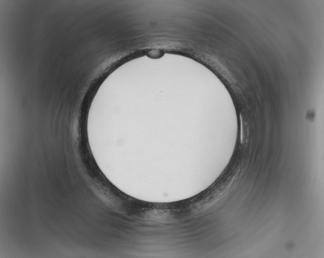 X0000116680252201001111338