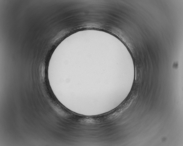 X0000116680253201001111338