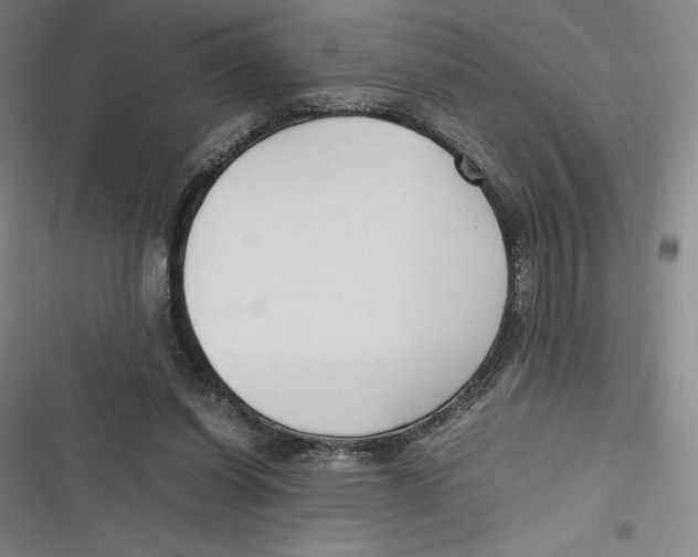 X0000116680254201001111338