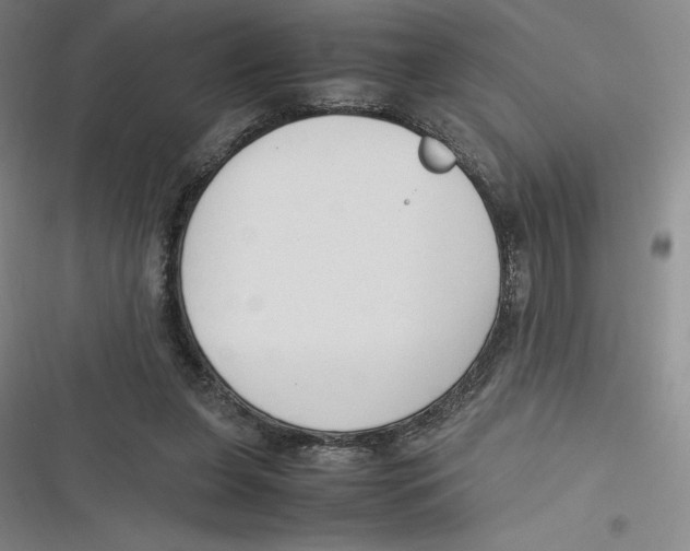 X0000116680255201001111338