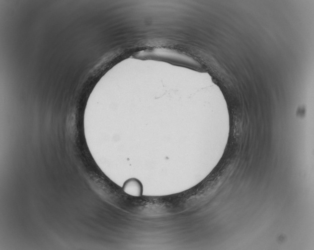 X0000116680256201001111338