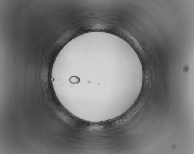 X0000116680257201001111338