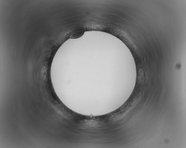 X0000116680259201001111338