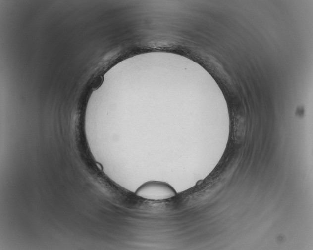 X0000116680260201001111338