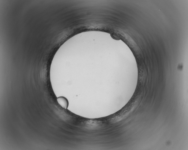 X0000116680261201001111338