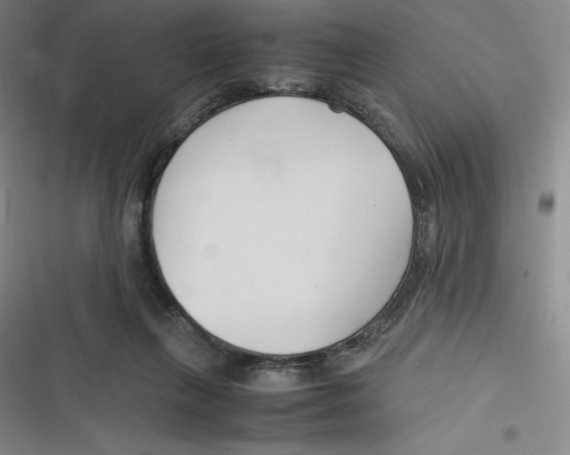 X0000116680263201001111338