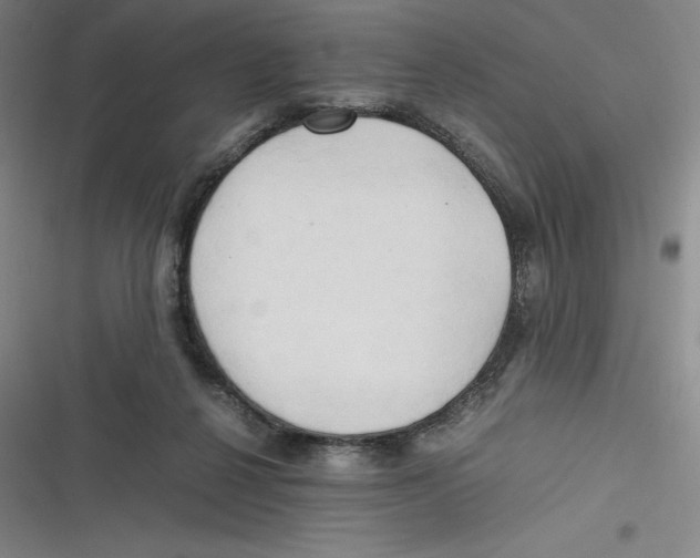 X0000116680264201001111338