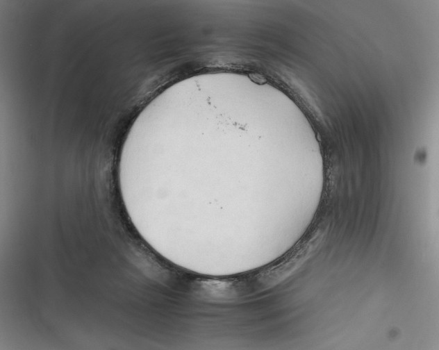 X0000116680265201001111338