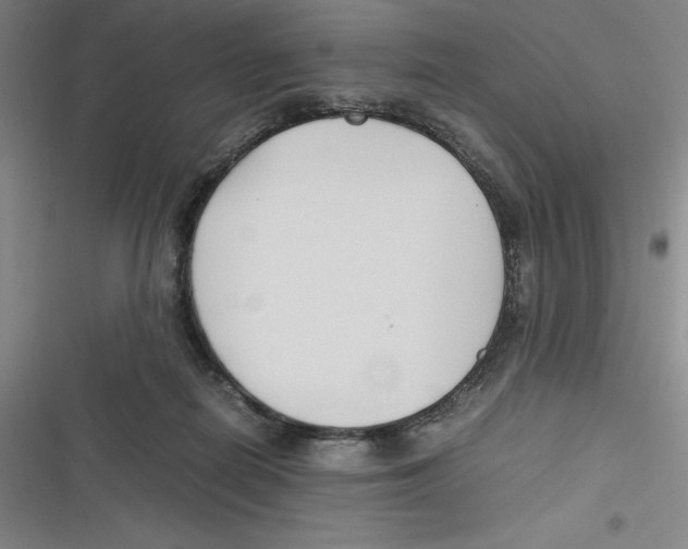 X0000116680266201001111338