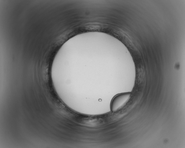 X0000116680267201001111338