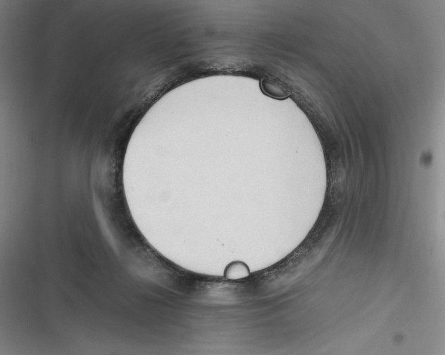 X0000116680268201001111338