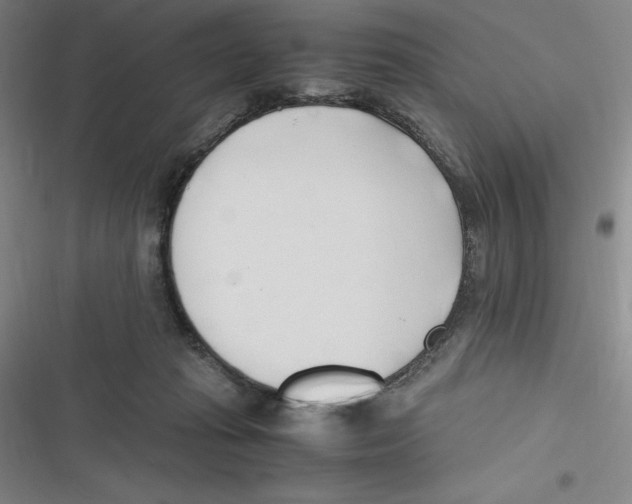 X0000116680269201001111338