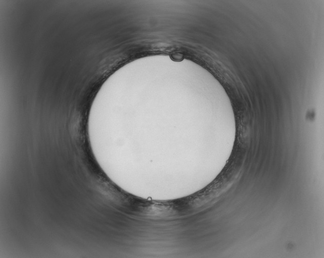 X0000116680270201001111338