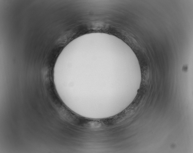 X0000116680272201001111338