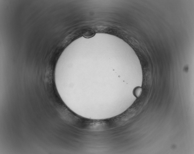 X0000116680274201001111338