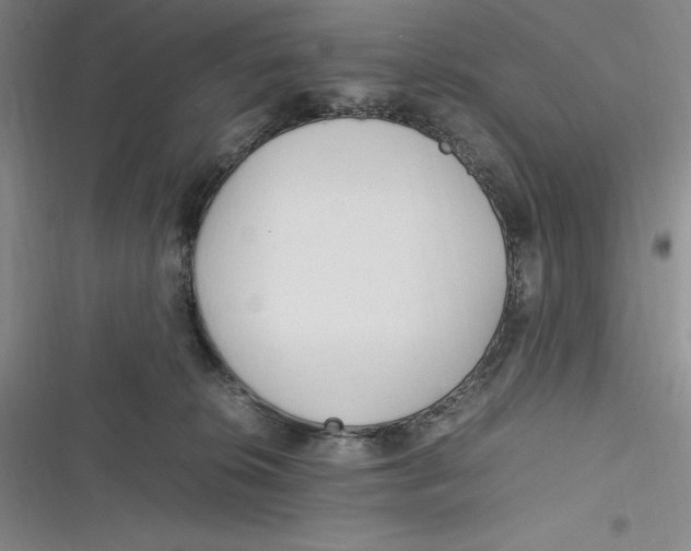 X0000116680276201001111338