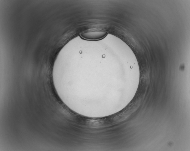 X0000116680277201001111338