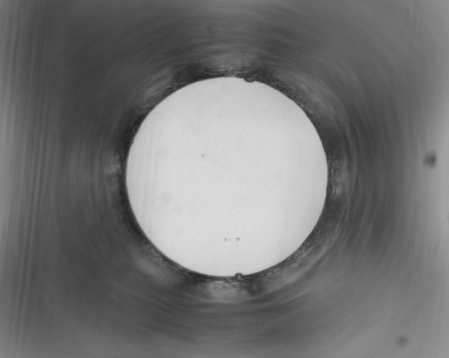 X0000116680279201001111338