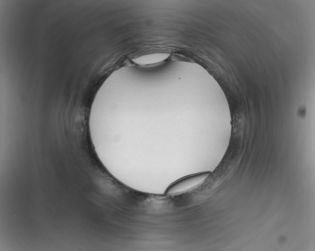 X0000116680280201001111338