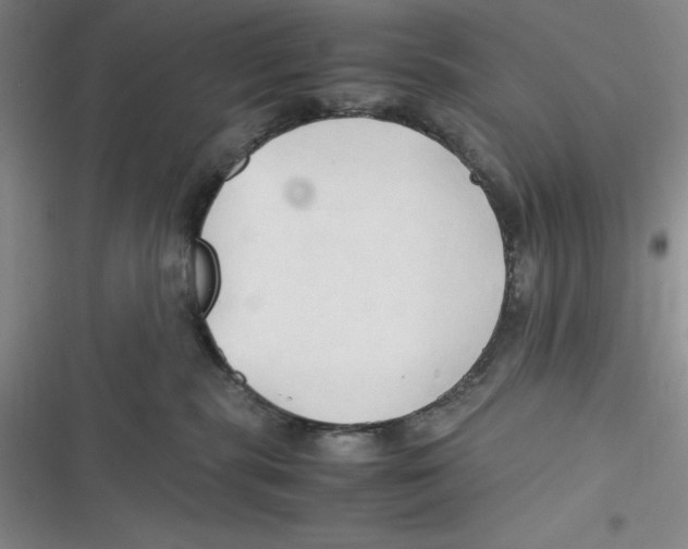 X0000116680283201001111338