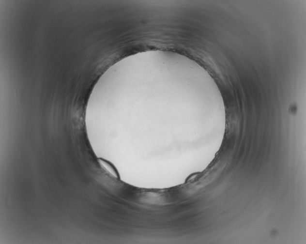 X0000116680285201001111338